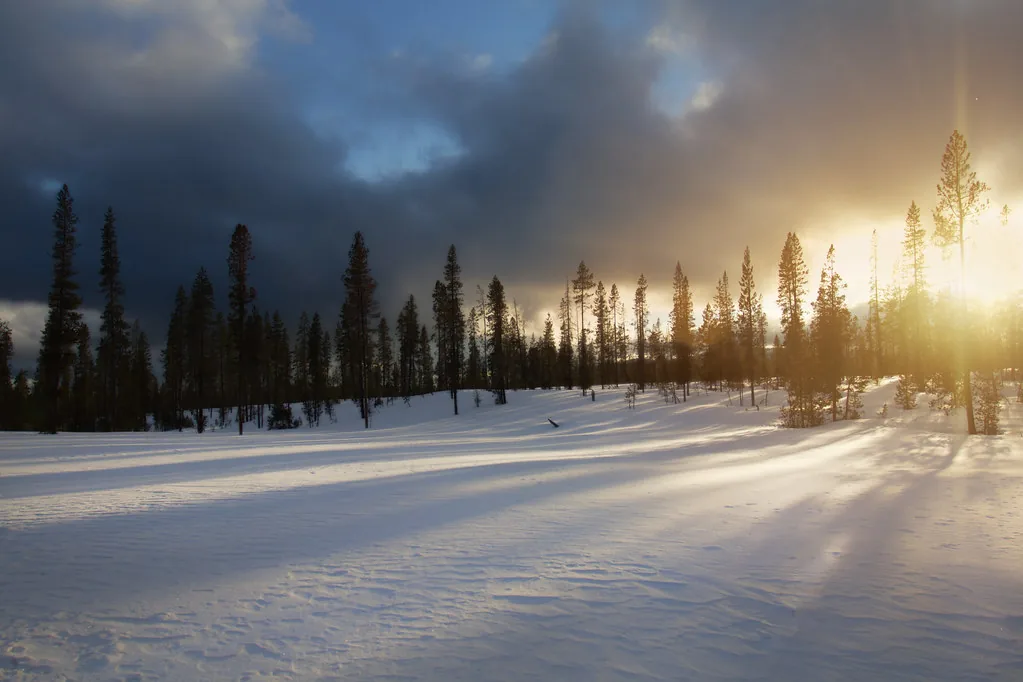 Paksu lumikerros peittää havumetsän, ilta-aurinko paistaa puiden lomasta